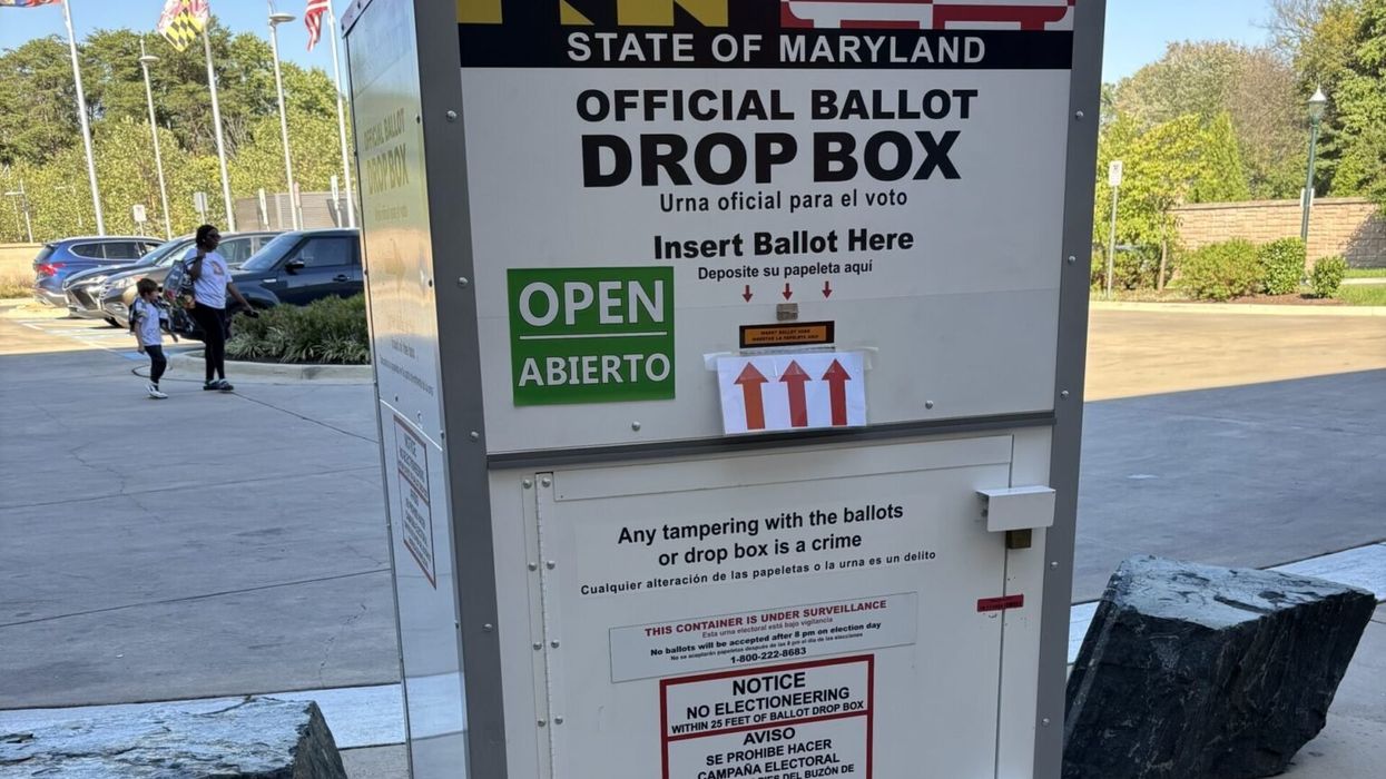 With millions now casting ballots, democracy watchdogs stress voter protection