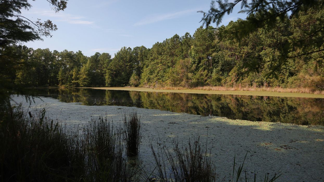 Rural Florida town begs for a new doctor — with big perks