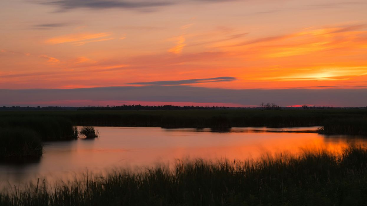 What happened in Whitewater