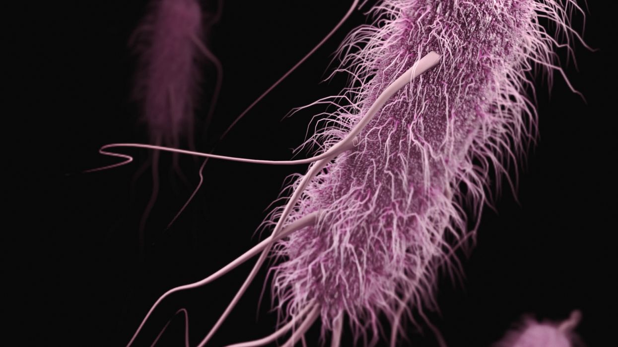 Flesh-eating bacteria infections on the rise in the US