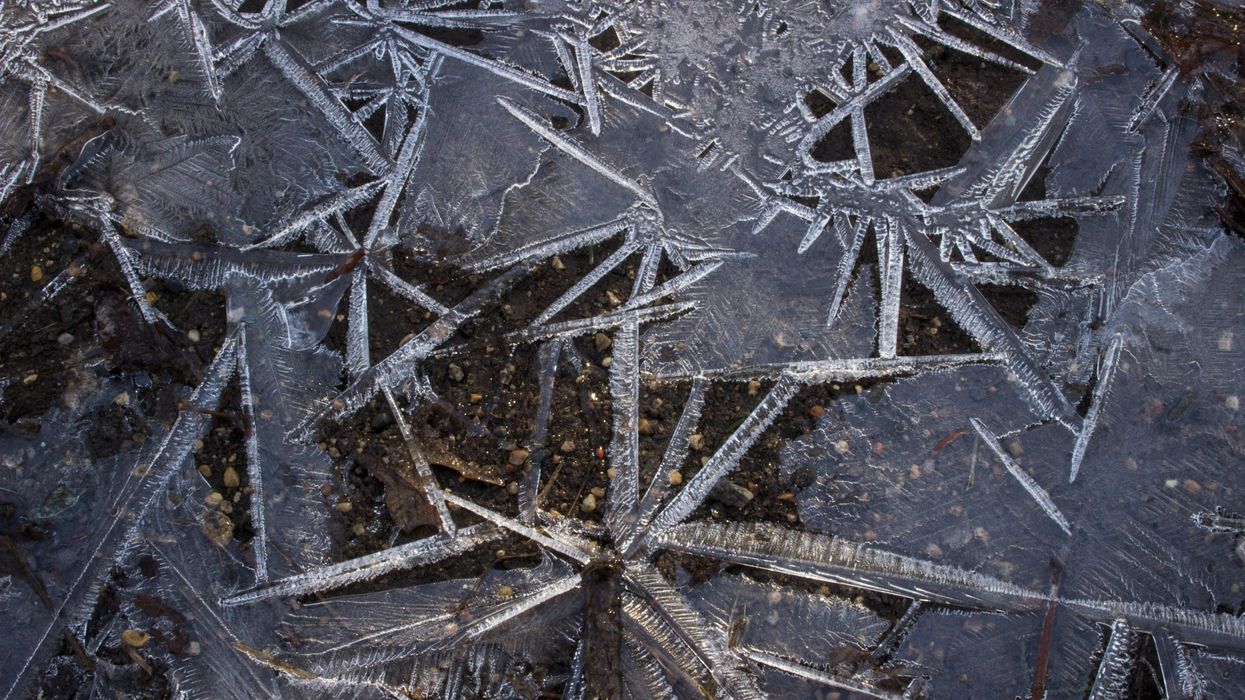 More Californians are freezing to death — and experts believe they know why