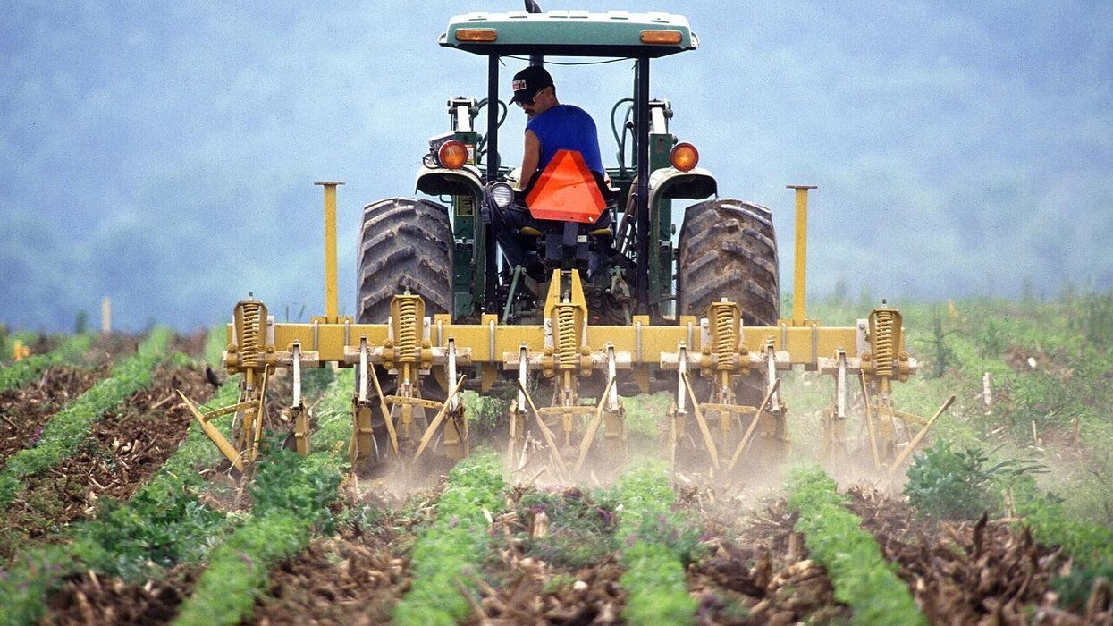 'Wounded' and 'worried': US farmers struggle financially as loyalty to Trump is tested