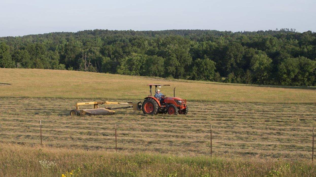 Trump-voting farmer warns crops will 'rot' if his workers get deported