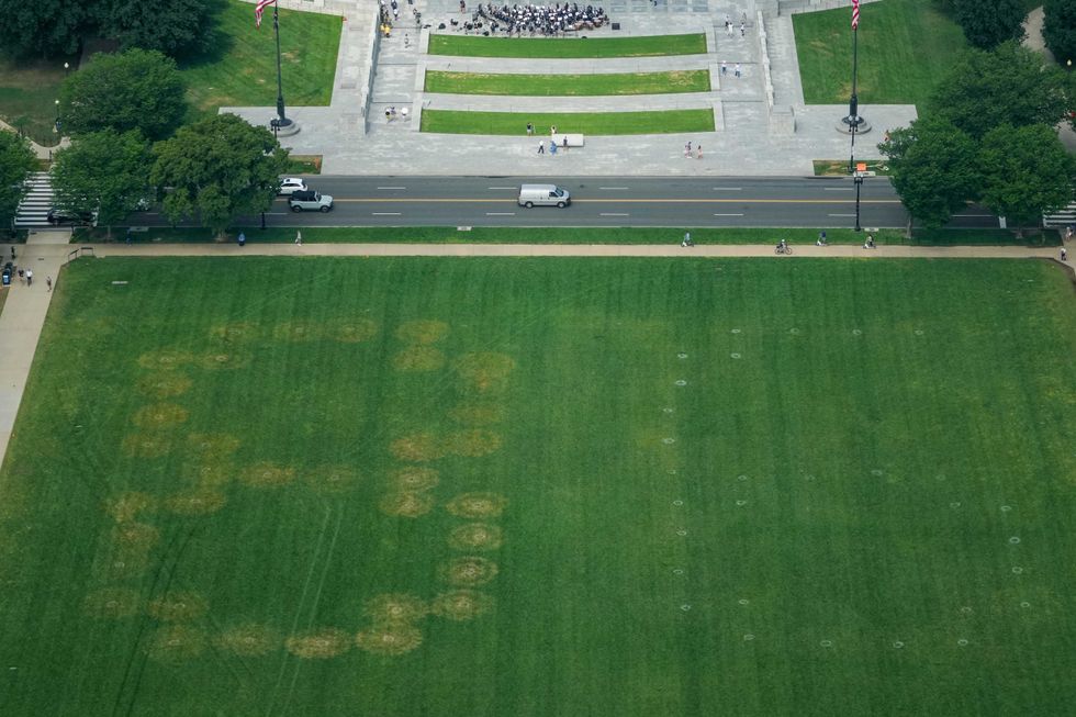 White House melts down over damaged lawn