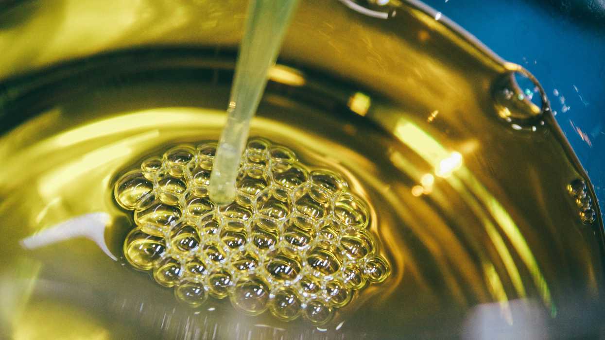 Are seed oils really as harmful as RFK Jr. claims?