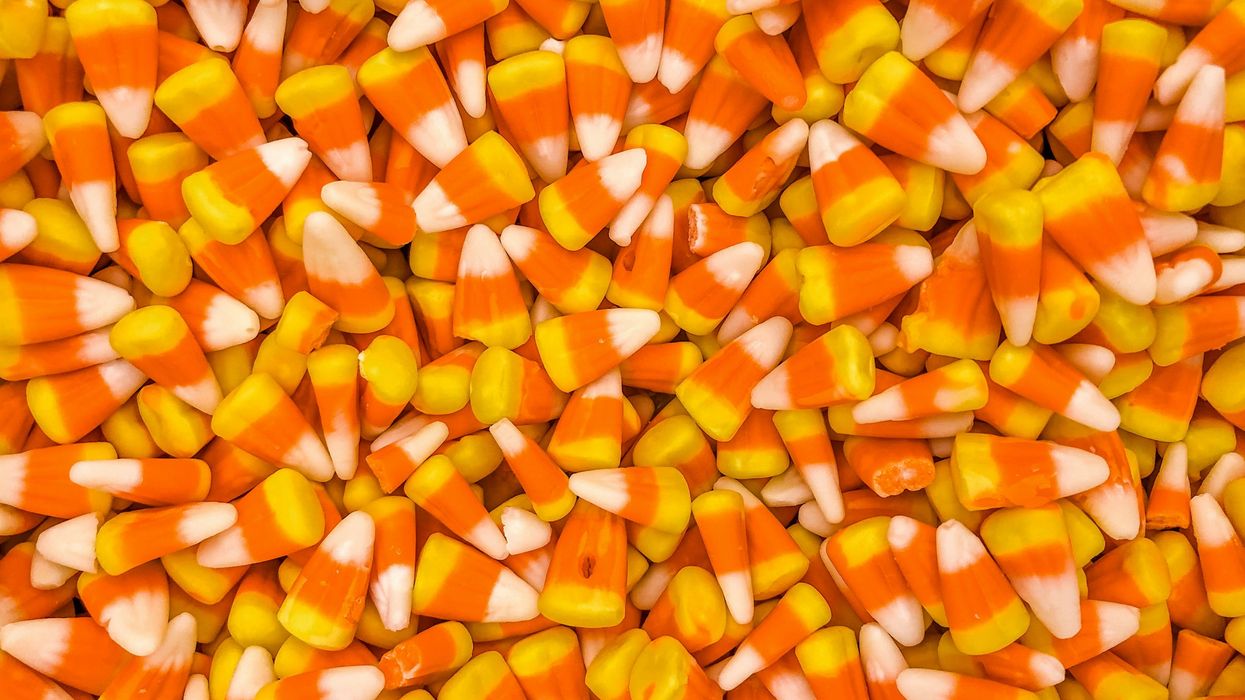 How Halloween candy binges can overload your gut microbiome