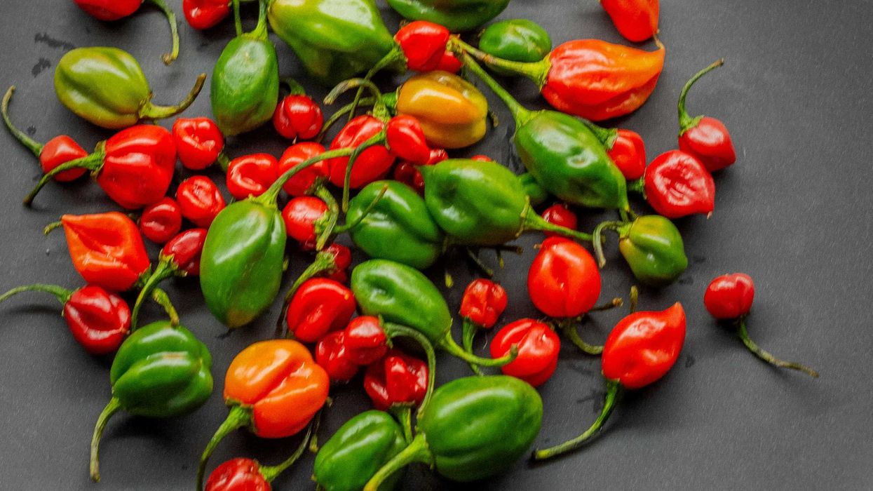 Two years after peppers caused him 'crippling pain,' man gets another shock: his ER bill