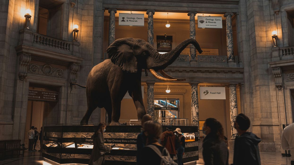 'Improper ideology': Trump executive order targets the Smithsonian