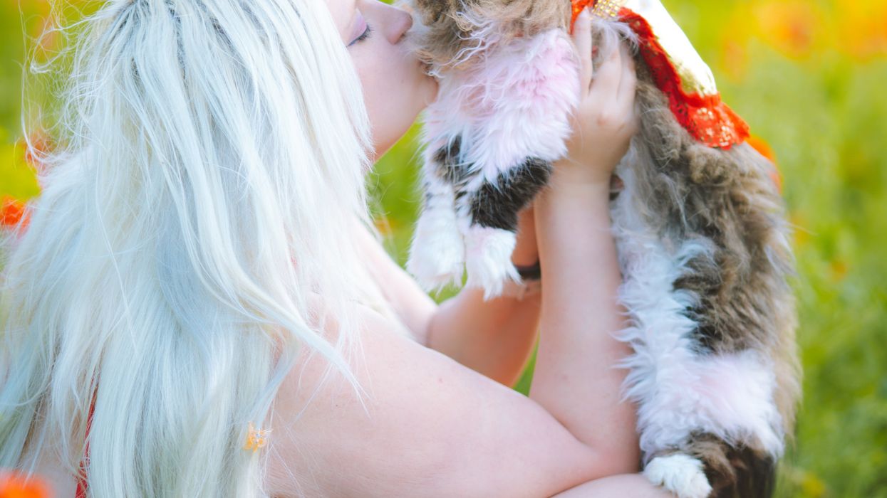 Is it okay to kiss your pet? The risk of animal-borne diseases is small, but real