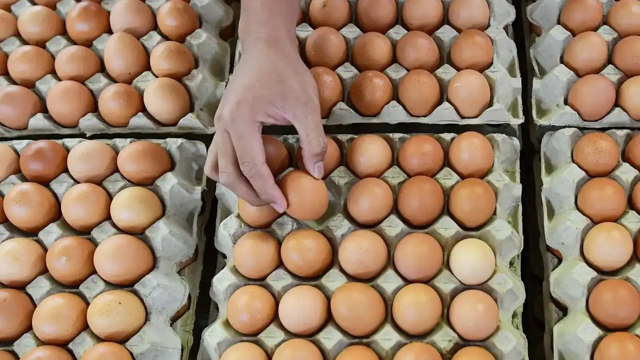 The real reason for soaring egg prices