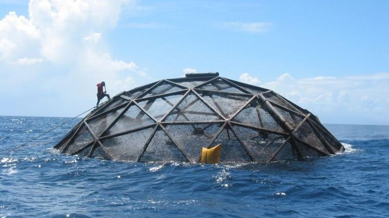 Trump’s floating fish farms might surface in the Gulf of Mexico despite opposition