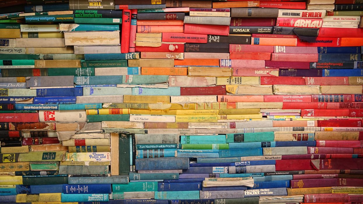 What the US can learn from apartheid-era book bans in South Africa