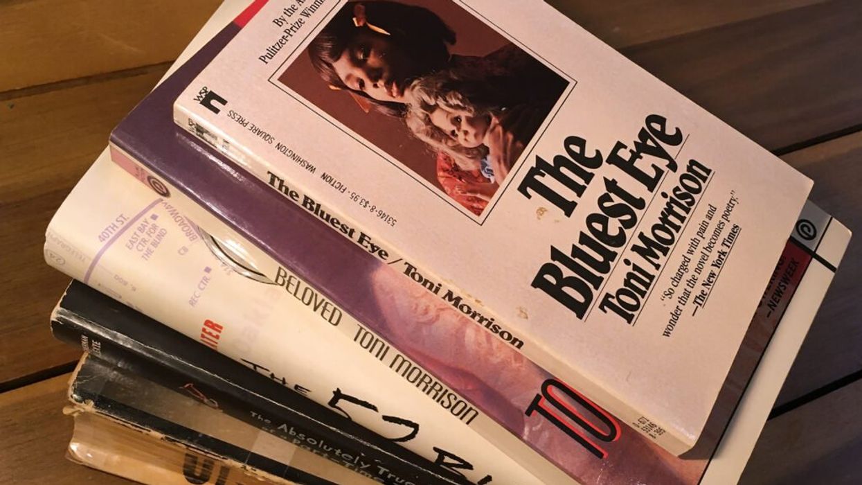 ‘Literally heartbreaking as a librarian:’ 150 titles pulled from Tennessee school libraries