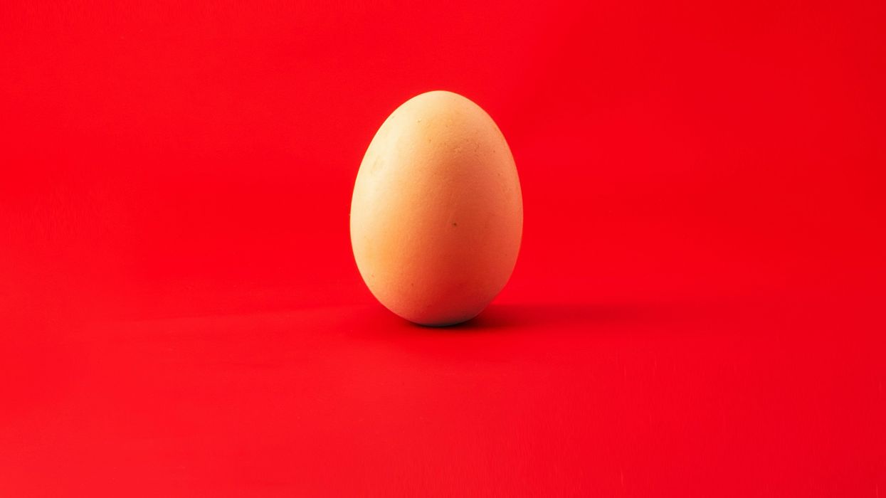 Florida lawmakers shelve 'fetal personhood' bill after Alabama backlash