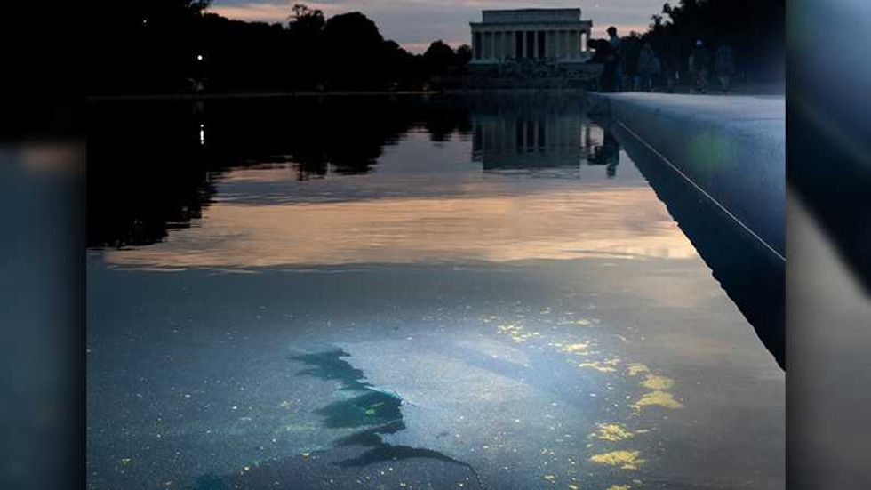Swimming pool expert knows who 'planted the algae' in Trump’s Reflecting Pool disaster