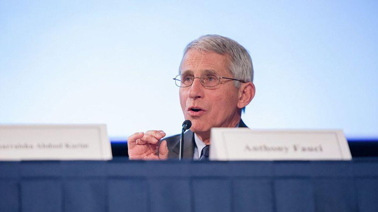 'You do not know what you are talking about': Fauci destroys 'lying' Rand Paul over COVID conspiracy theory