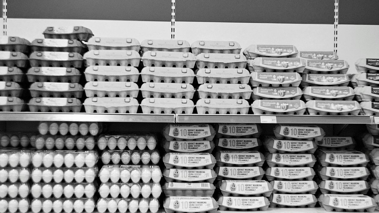 Grocery prices – and eggs in particular – climb heading into holiday season