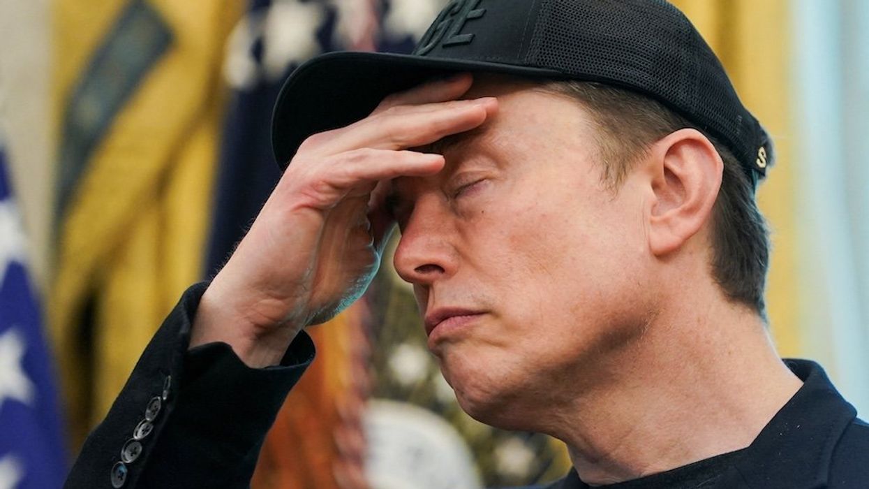 'Raise utter holy hell': GOP strategist says Dems should 'feast' on Musk’s weak moment