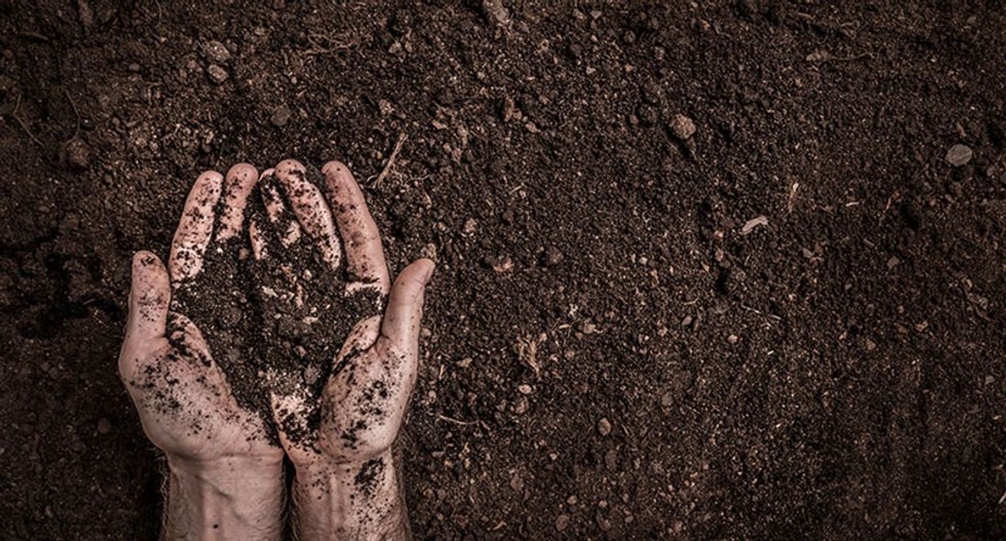 How to turn dirt into soil