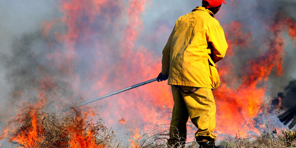 image.jpg?width=1200&coordinates=0%2C60%