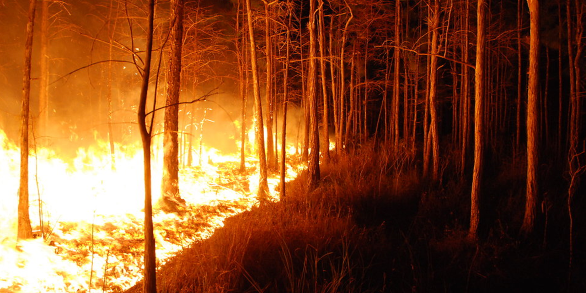 image.png?width=1200&coordinates=0%2C113