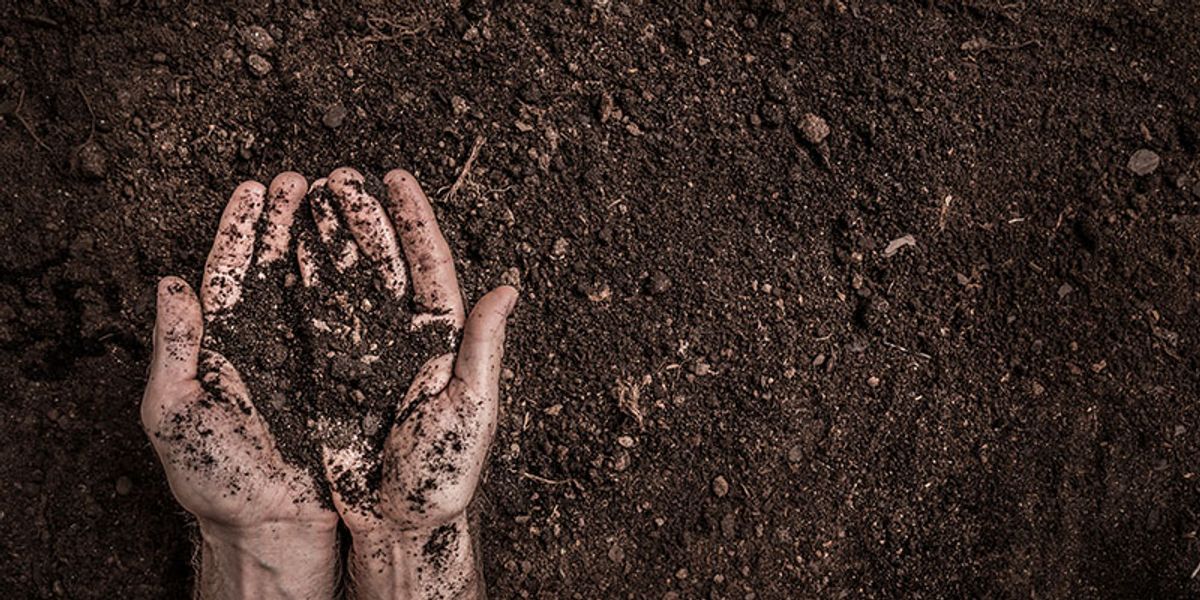 Transforming to an ecological civilization: The alternative Is unthinkable - Vimarsana News
