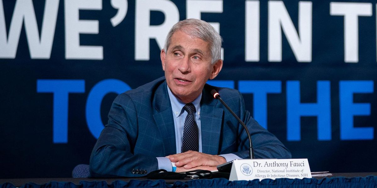 Fauci claims public disagreements with Trump would lead former president to do 'terrible things' - Vimarsana News