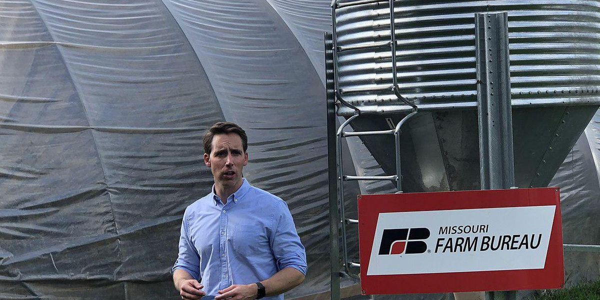 image.jpg?width=1200&coordinates=0%2C39%