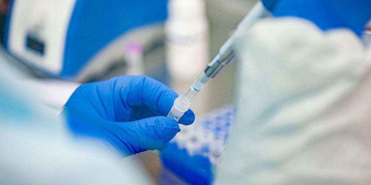 image.jpg?width=1200&coordinates=0%2C39%