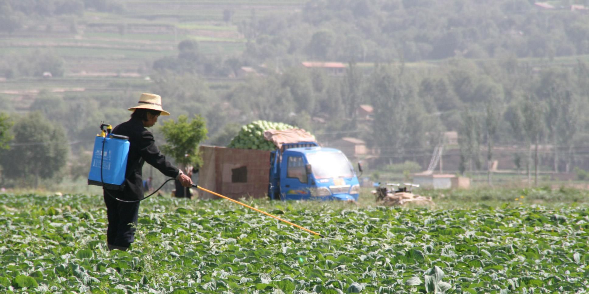 A pesticide linked to brain damage in children could finally be banned - Vimarsana News