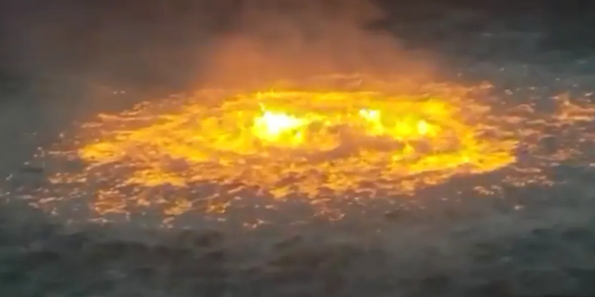 image.png?width=1200&coordinates=0%2C28%