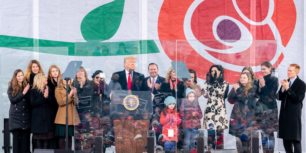 image.jpg?width=1200&coordinates=0%2C0%2