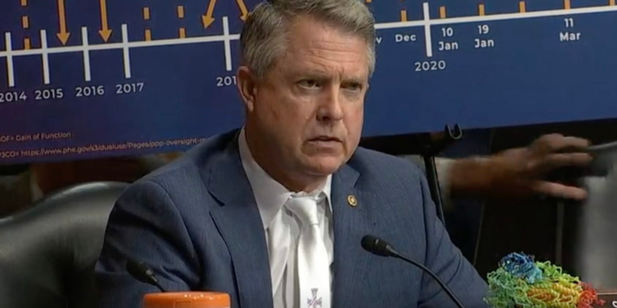 image.png?width=1200&coordinates=0%2C51%