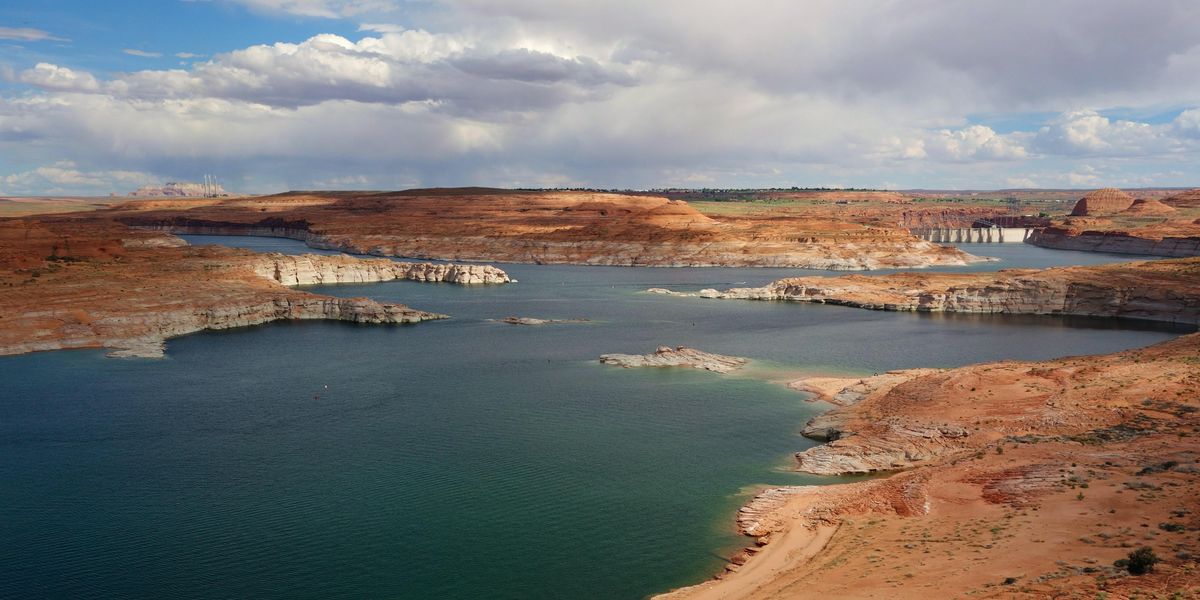 image.jpg?width=1200&coordinates=0%2C456