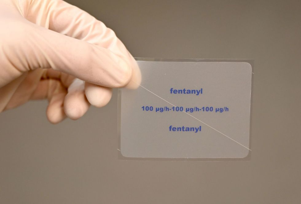 The pandemic's effects on opioid users in the US and Europe