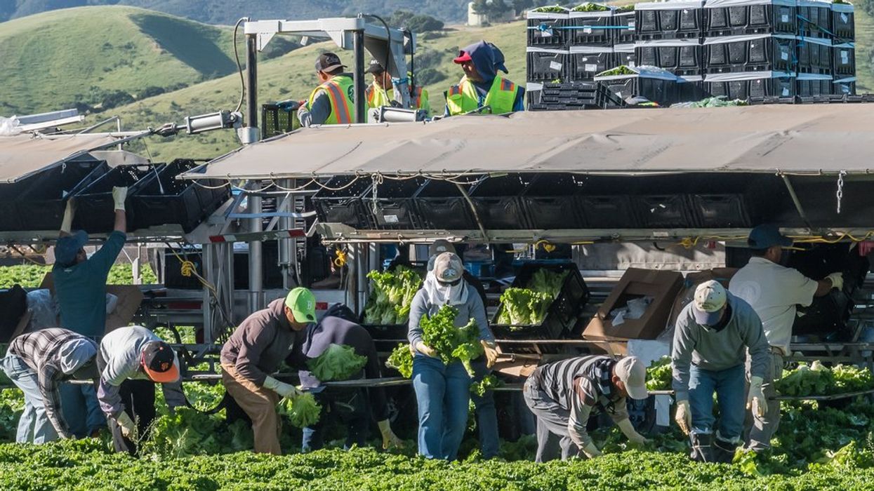 'Racist and cruel': Trump torched for claim undocumented workers do farm labor 'naturally'