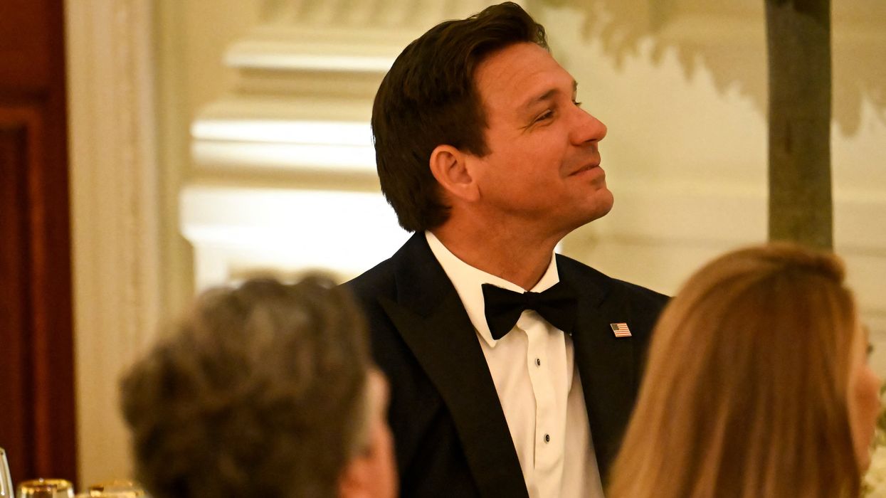 Ron DeSantis installs allies with limited experience in purge of ‘ideological study stuff’