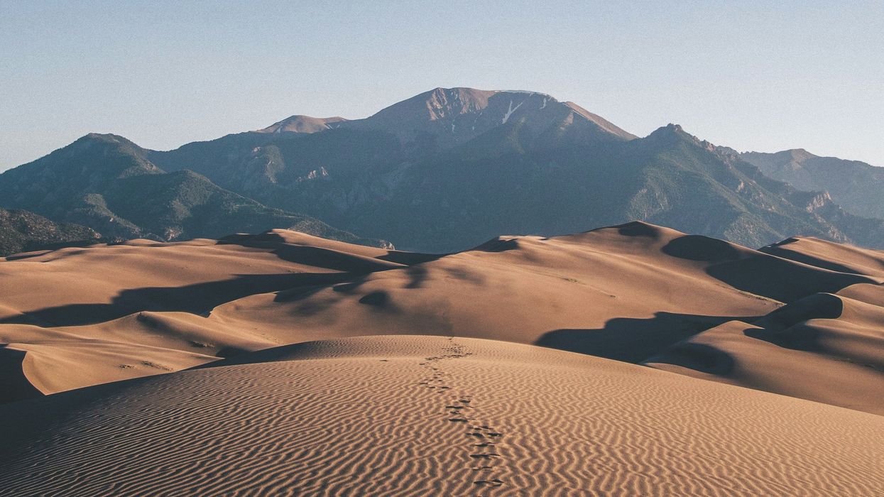 How ‘Dune’ became a rallying cry for the new science of ecology