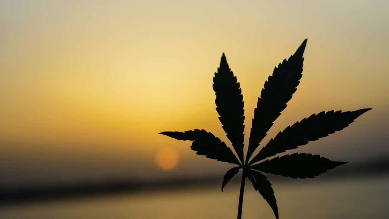 The United Nations just held a historic vote on marijuana
