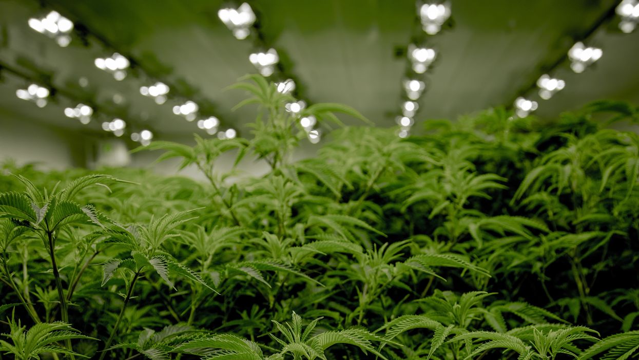 Will New Jersey be the next state to legalize marijuana?