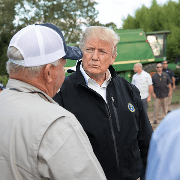 US Beef Tariff Cuts Create $2.3B Import Arbitrage Window | Sellers Face Supply Chain Disruption