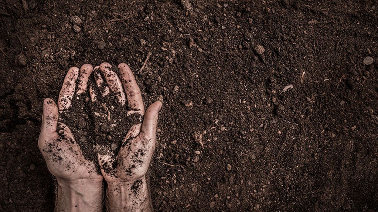 Transforming to an ecological civilization: The alternative Is unthinkable