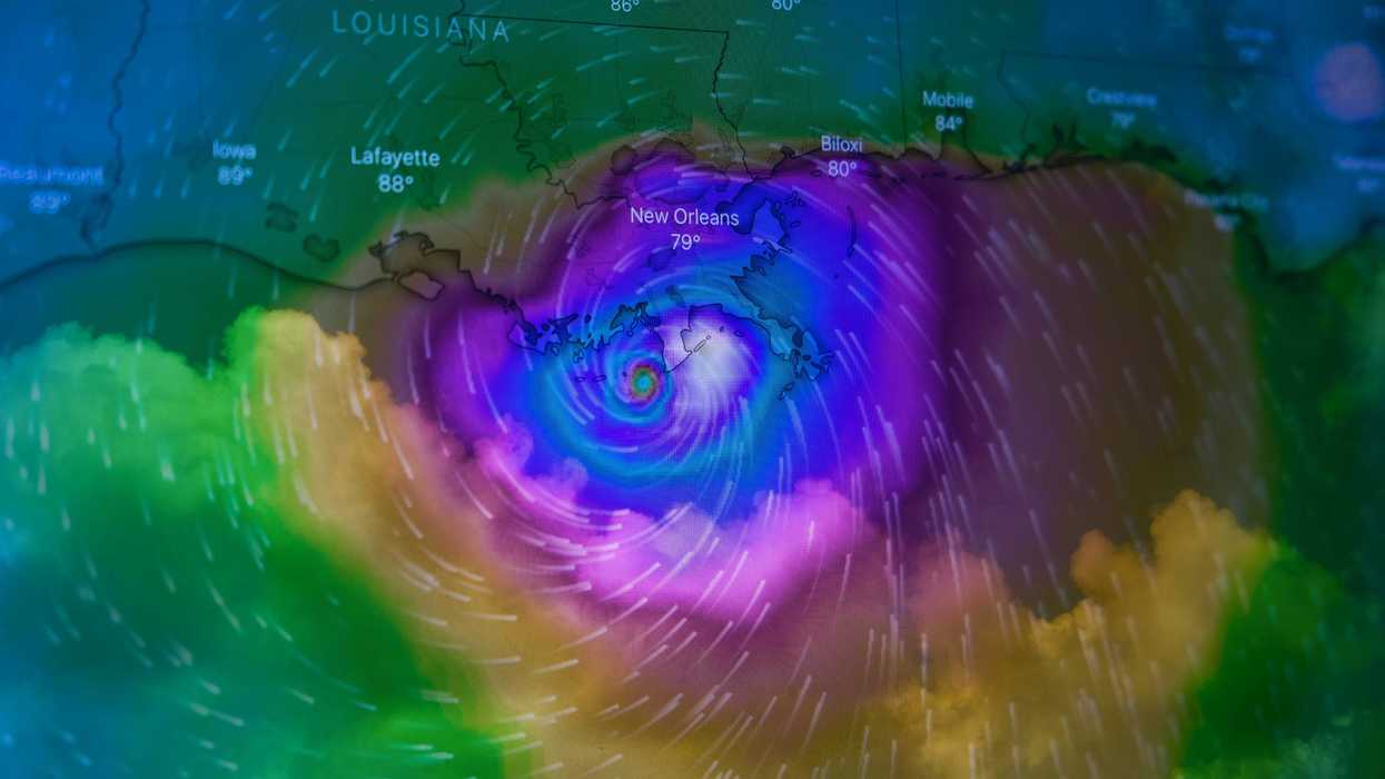 Life-saving disaster relief sabotaged by right-wing trolls