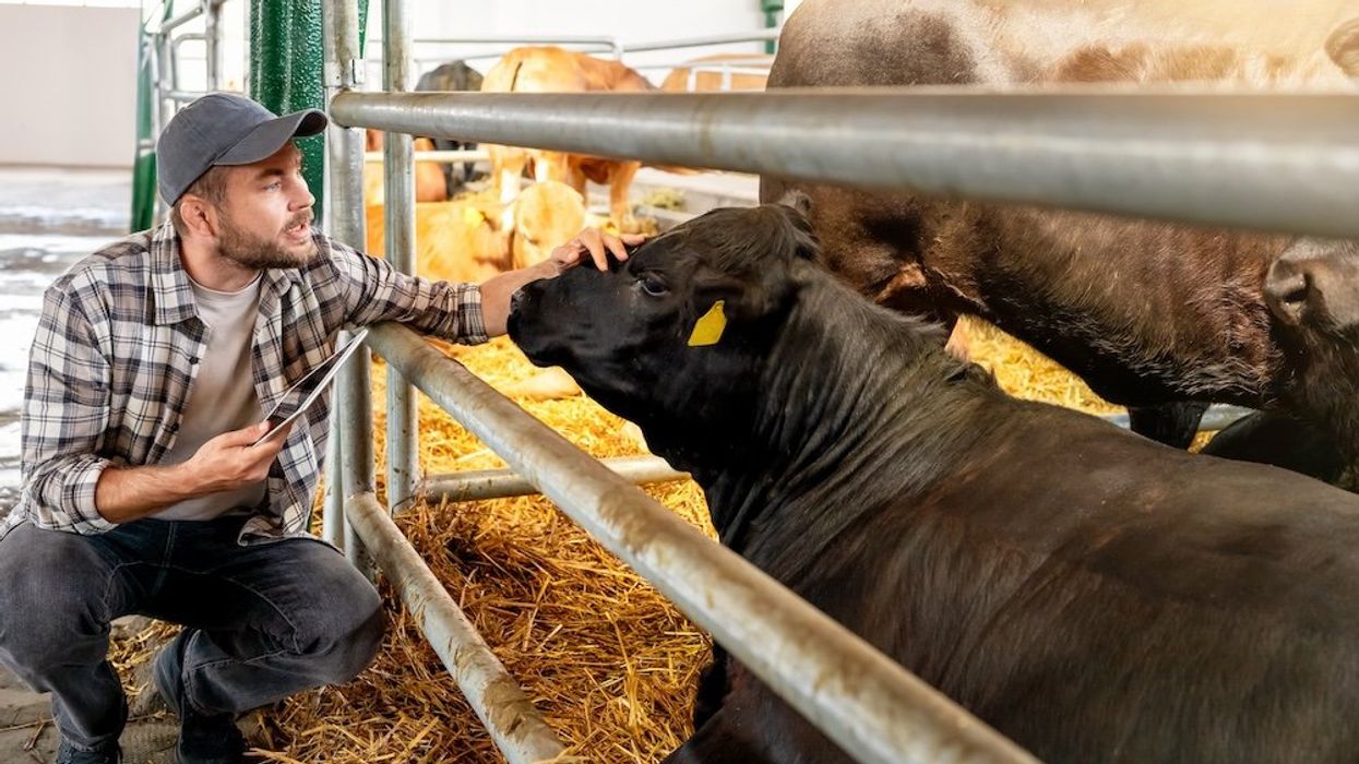 'What's my contingency plan?' Farmers and ranchers worried Trump deporting their workforce