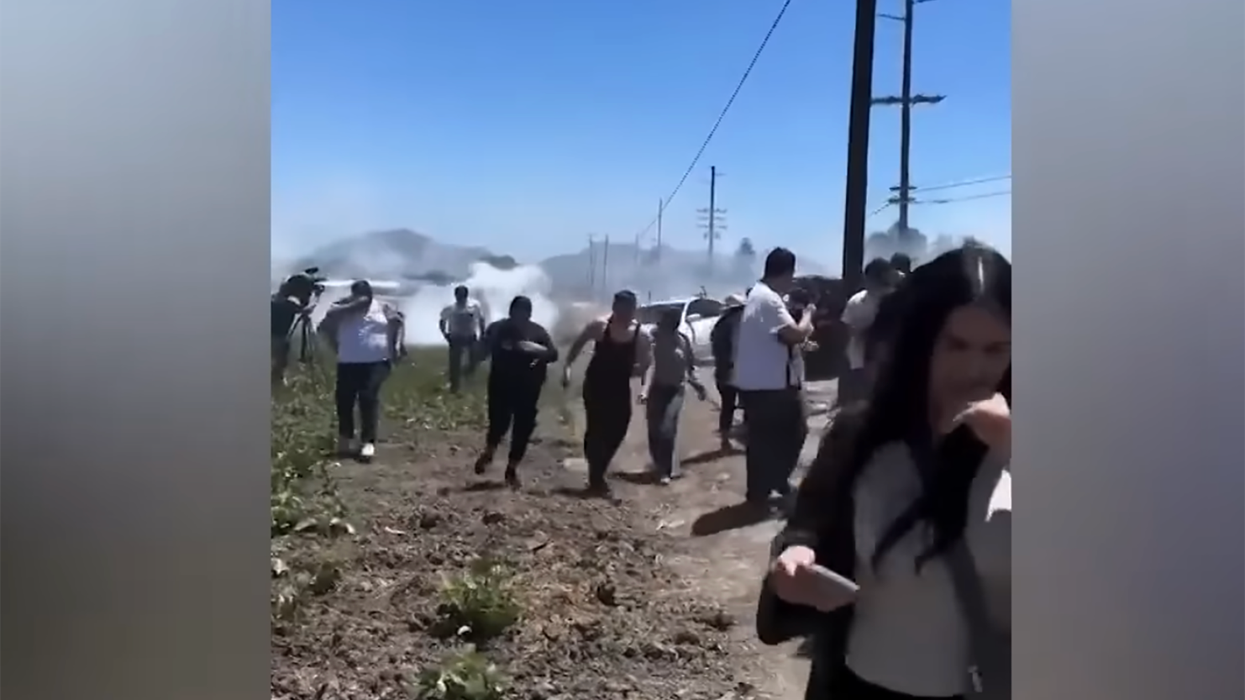 Farmworker dies after fall from greenhouse during California ICE raid