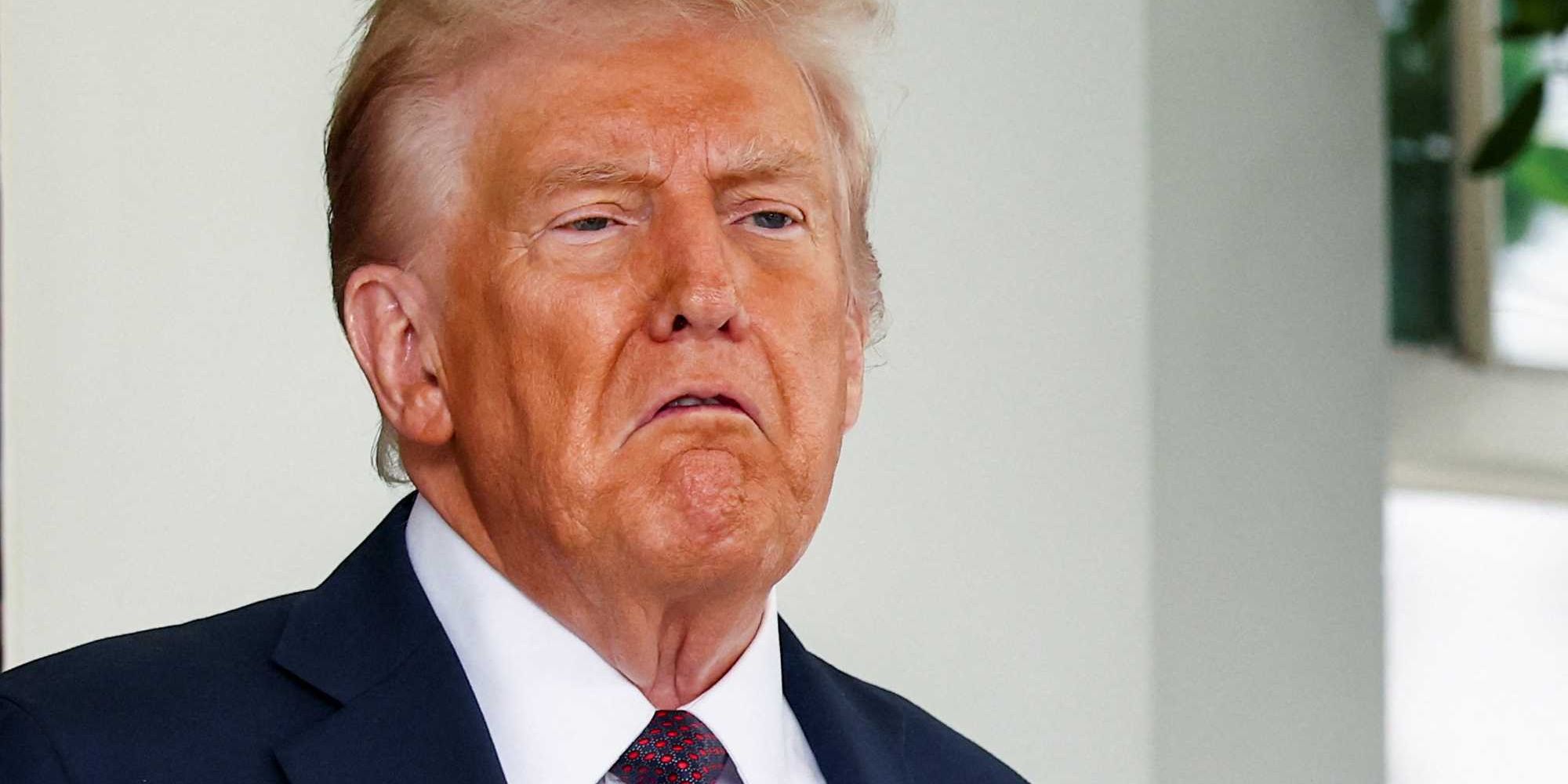 Former national security official tears into  mad king  Trump in profane rant