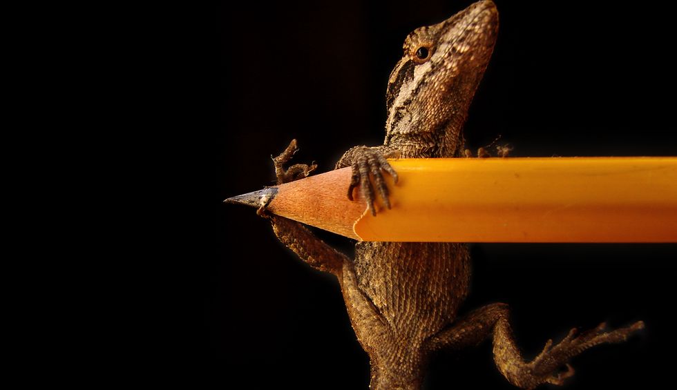 Scientists say this popular metaphor for understanding evolutionary neurology is deeply misleading