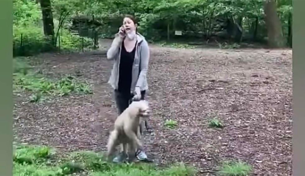 White woman loses her dog and maybe her job after calling cops on black man
