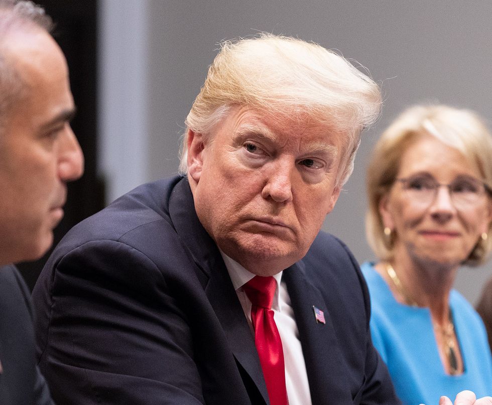 'They're going to absolutely crush him': Trump is reportedly panicking and 'losing it' as Democrats finally gain the upper hand