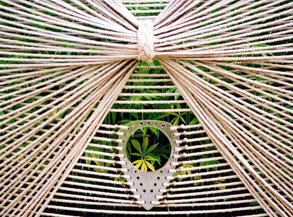 Here comes hemp: Congress votes to unleash a billion-dollar industry